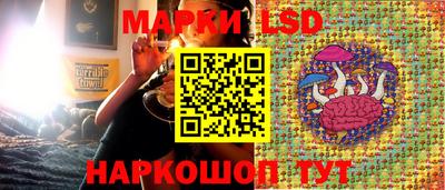 шишки Владивосток