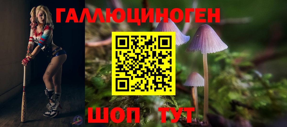 купить   Вход с VPN  Апрелевка  Галлюциногенные грибы GOLDEN TEACHER 